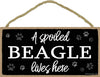 A Spoiled Beagle Lives Here - 5 x 10 inch Hanging, Wall Art, Decorative Wood Sign Home Decor