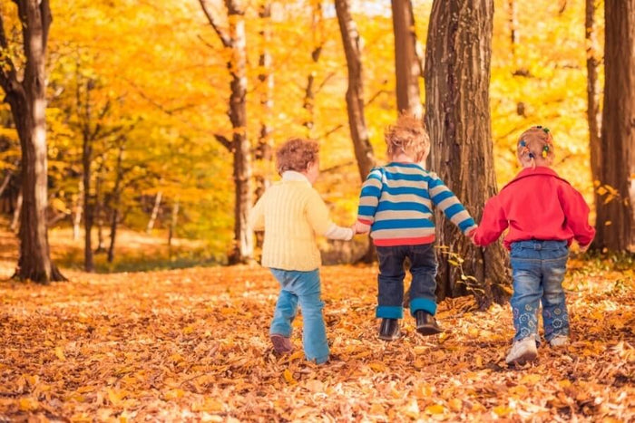 Budget Friendly Fall Activities for Families
