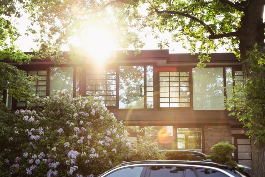 Shrubberies Around A House