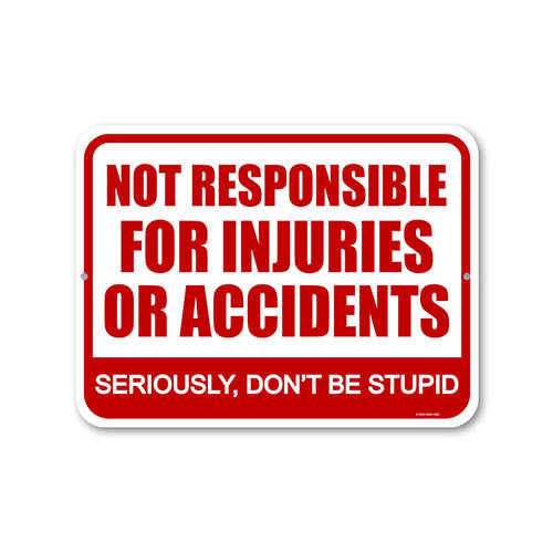 Not Responsible for Accidents or Injuries Seriously, Don't Be Stupid, 9 inch by 12 inch, Metal Sign Post, Funny Home Decor, Funny Signs, Warning Signs for Property