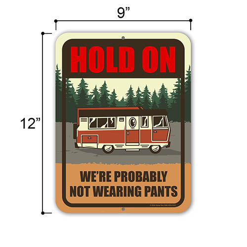 Hold on We're Probably Not Wearing Pants, Metal Signs, Funny Camping Signs, Funny Wall Art, Camping Themed Gifts, Camper RV Decor, 9 inch by 12 inch
