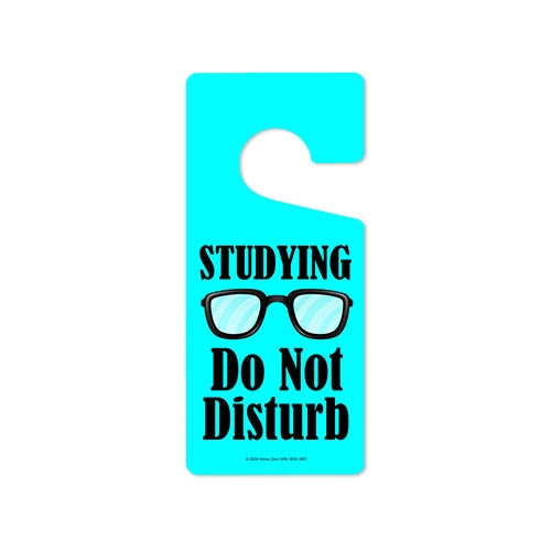 Studying Do Not Disturb, Door Hangers, Door Knob Hanger, Homeschooling Supplies, Homeschool Essentials, Door Signs for Bedroom, College Apartment Decor, 4 inch by 9 inch