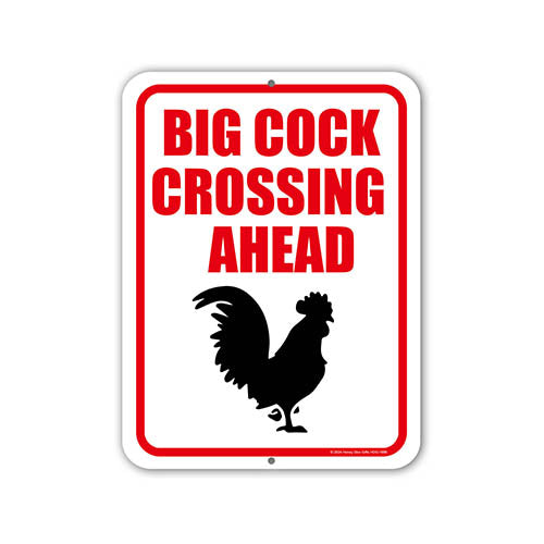 Big Cock Crossing Ahead, 9 inch by 12 inch, Metal Sign Post, Yard Decor, Funny Inappropriate Signs, Chicken Gifts, Chicken Yard Art, HDG-1698