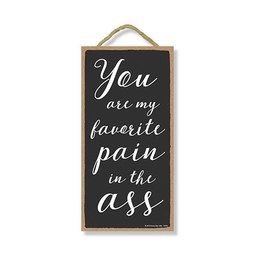 You are My Favorite Pain in The Ass, Funny Inappropriate Wooden Home Decor, Hanging Wall Sign, 5 x 10
