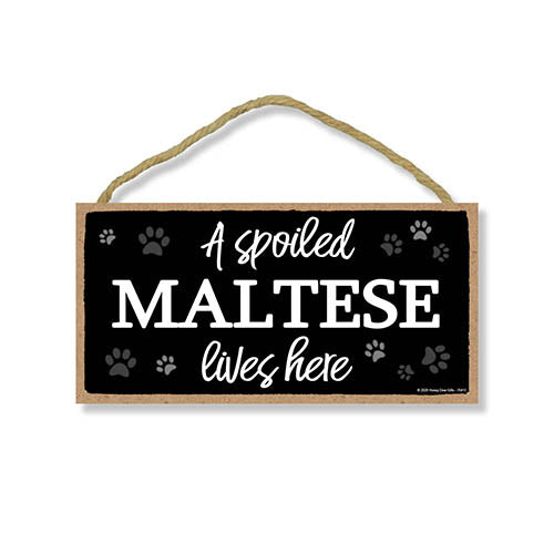A Spoiled Maltese Lives Here, Funny Wooden Home Decor for Dog Pet Lovers, Hanging Wall Decorative Sign, 5 Inches by 10 Inches