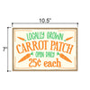 Locally Grown Carrot Patch, Easter Decor Signs, Funny Easter Decorations, Spring Wood Wall Sign, 7 Inches by 10.5 Inches