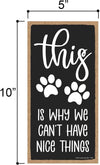 Honey Dew Gifts, This is Why We Can't Have Nice Things, 5 inch by 10 inch, Made in USA, Dog Hanging Sign, Dog Signs for Home Decor, Gift for Pet Lovers, Fur Moms, Dog Gifts, Dog Wall Decor