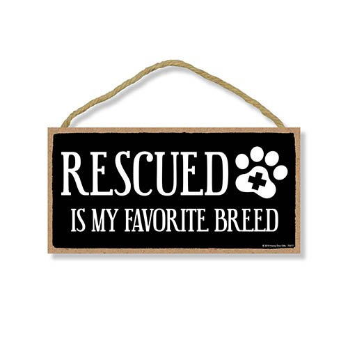 Dog Home Decor