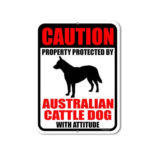 No Trespassing Signs