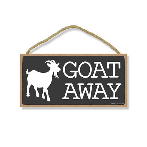 Funny Signs