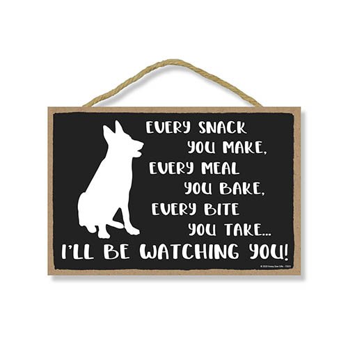 Funny Wooden Dog Signs