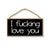 I Fucking Love You 5 inch by 10 inch Hanging Wall Art, Decorative Wood Sign, Valentine's Day Decorations, Funny Inappropriate Sign