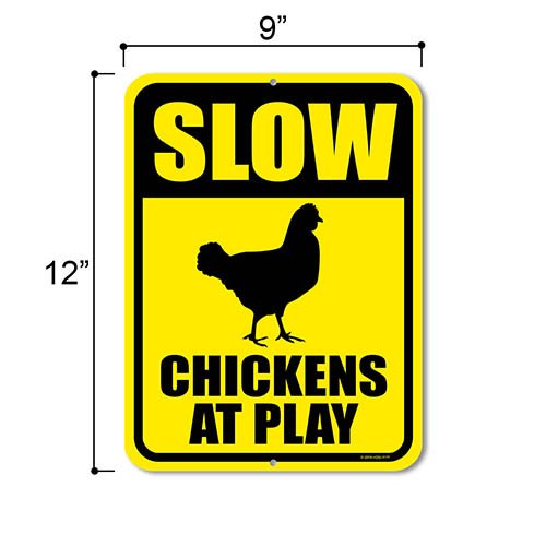 Funny Chicken Signs
